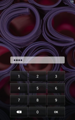 Kindle Fire Password Entered Kindle Fire Password Entered